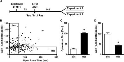 The Divergent Effects of CDPPB and Cannabidiol on Fear Extinction and Anxiety in a Predator Scent Stress Model of PTSD in Rats